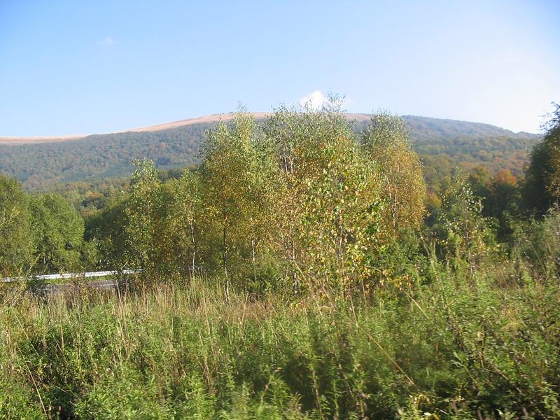 bieszczady 138