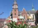 wawel008