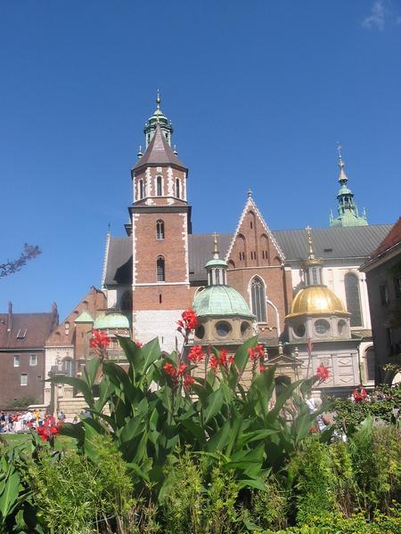 wawel008