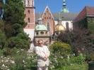 wawel011