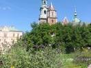 wawel013