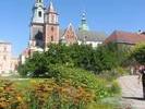 wawel015