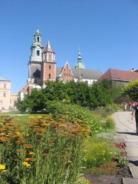 wawel015