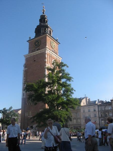 wawel026