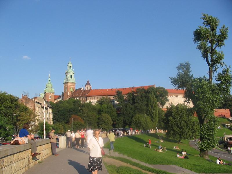 wawel036