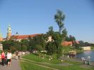 wawel037